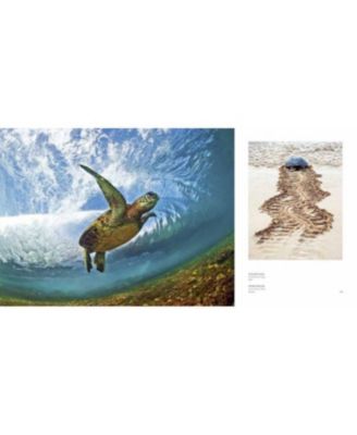 Clark Little- The Art of Waves by Clark Little