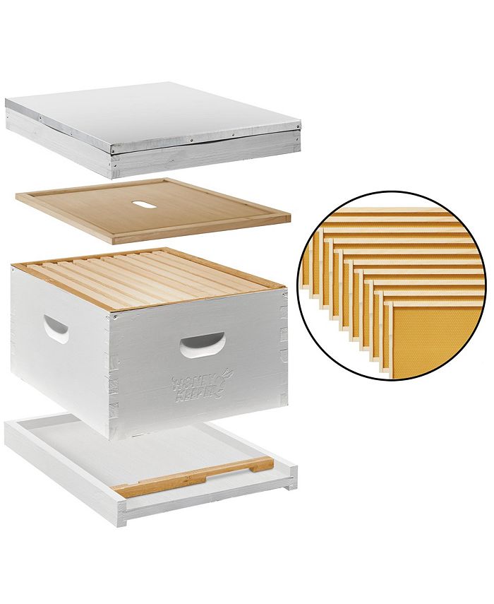 Honey Keeper Beginner Bee Hive Body Kit, Painted, Assembled with 10 ...