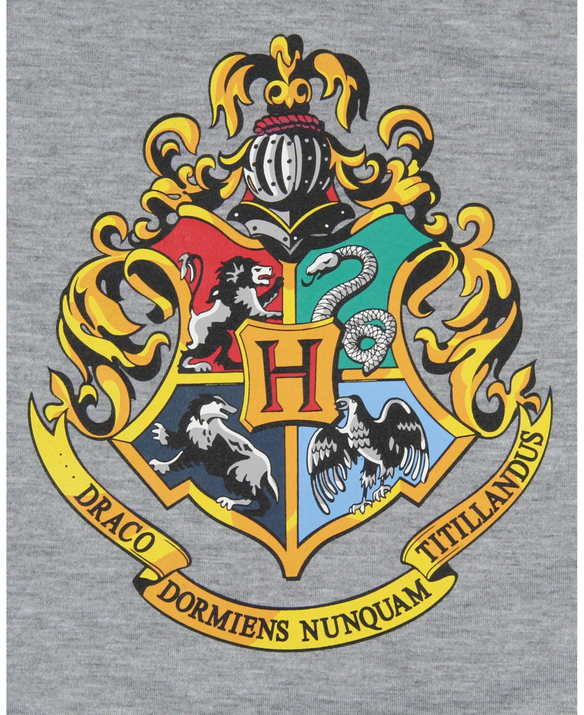 Harry Potter Girls Wizarding World Hogwarts Crest Pajama Nightgown