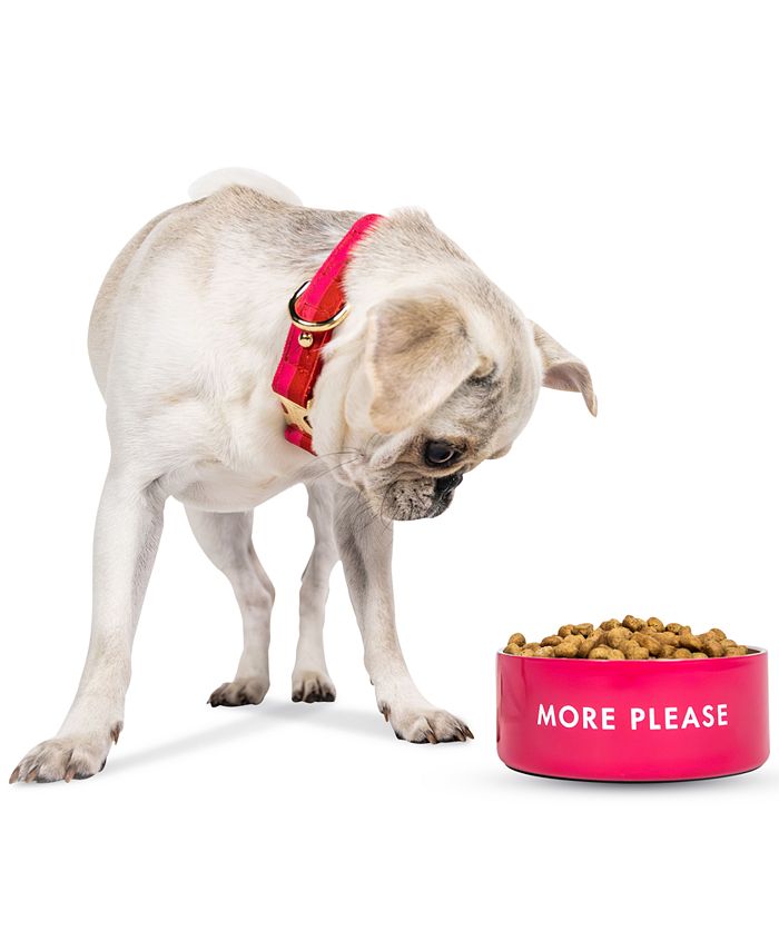 kate spade new york Small Red and Pink Stainless Steel Dog Bowl Macy's