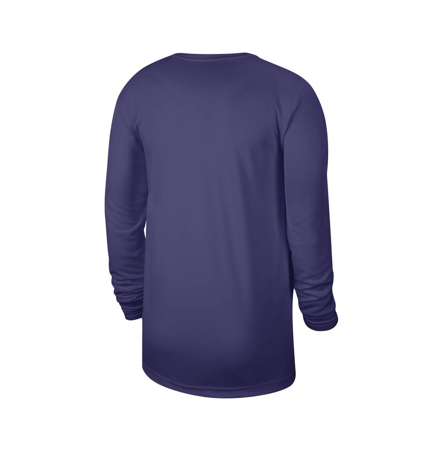 Топ Nike Purple Phoenix Suns 2023 Legend On-Court Practice long sleeve — фото 4