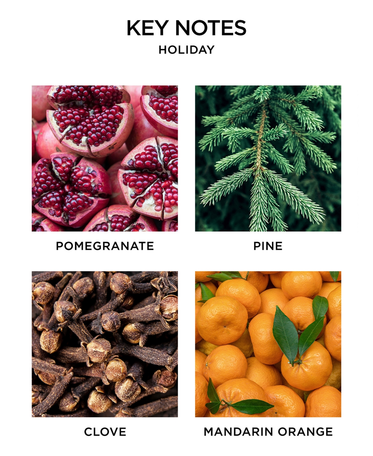 Nest New York 2-Pc. Holiday & Birchwood Pine Classic Candle Gift Set