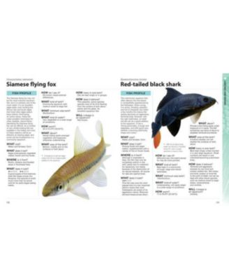 Barnes & Noble What Freshwater Fish?- A Buyer's Guide To Tropical ...