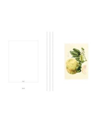 Instant Wall Art Vibrant Botanical Prints- 45 Ready-to-Frame Illustrations for Your Home D&eacute;cor by Adams Media Corporation