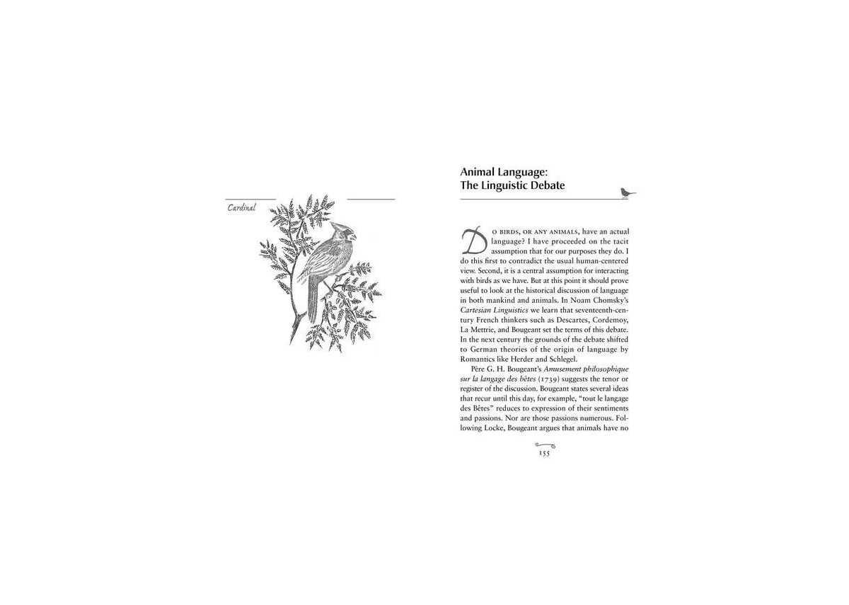 Conversations with Birds- The Metaphysics of Bird and Human Communication by Alan Powers