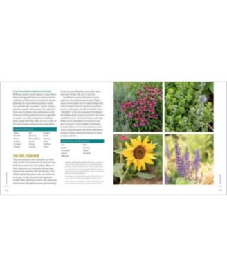 The Creative Vegetable Gardener- 60 Ways to Cultivate Joy, Playfulness, and Beauty along with a Bounty of Food by Kelly Smith Trimble