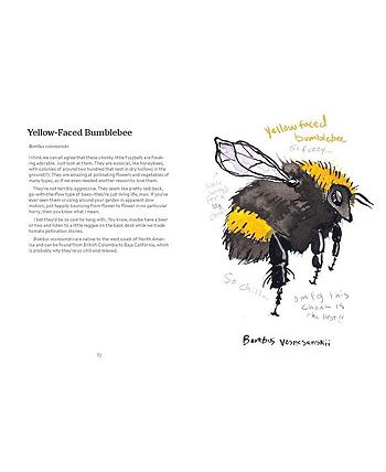 Barnes & Noble OMFG, BEES!- Bees Are So Amazing and You're About to