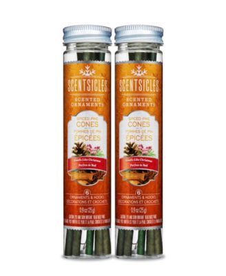 Scentsicles Scented Ornaments, 6 Count Bottles, Infused Paper Sticks, 2 Pack Set