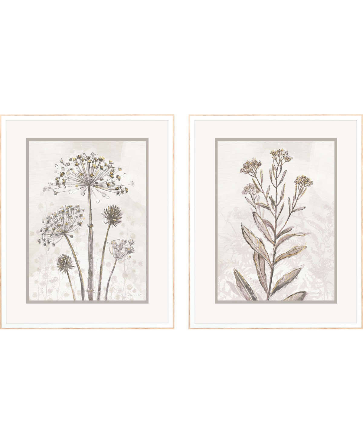 Paragon Picture Gallery Dried Florals Ii Framed Art, Set Of 2 In Metallic