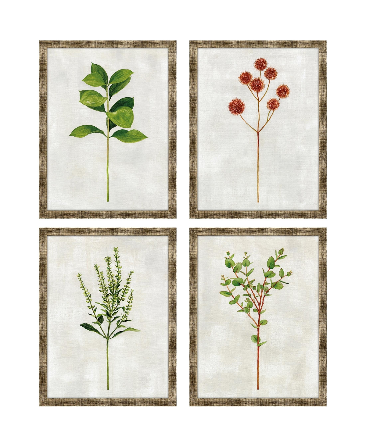 Paragon Picture Gallery Botanical Ii Framed Art, Set Of 4 In Green