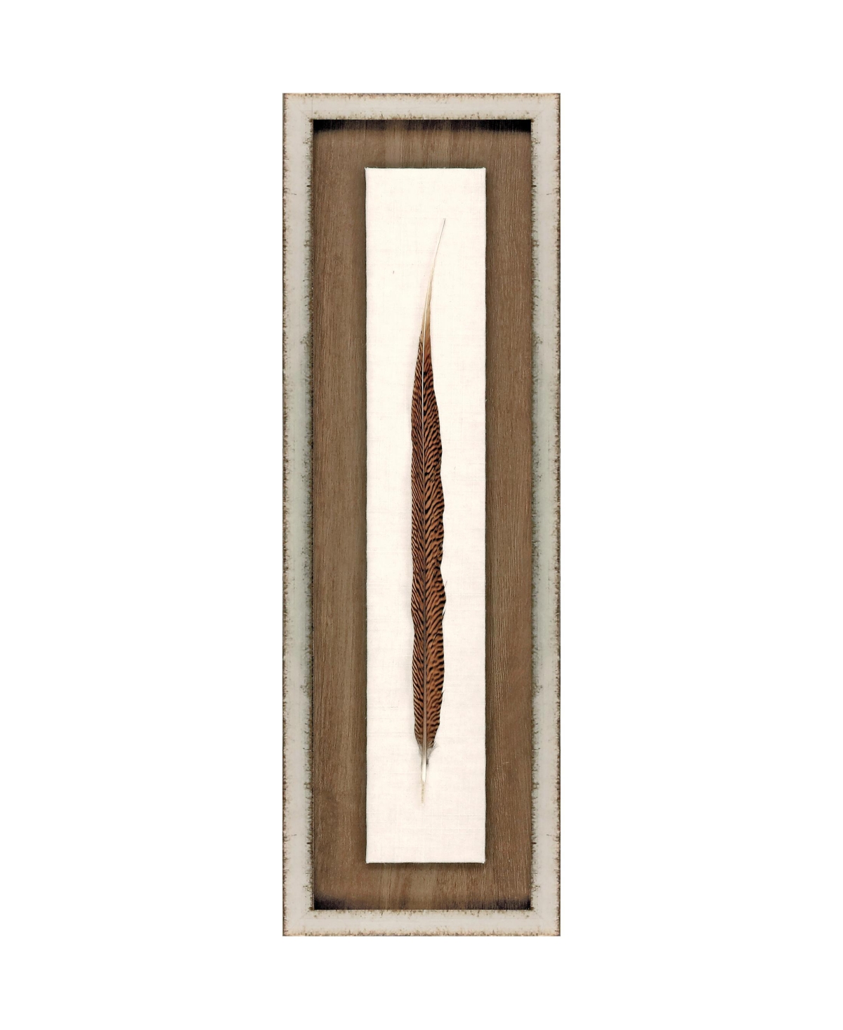 Paragon Picture Gallery Pheasant Feather Framed Art In Brown