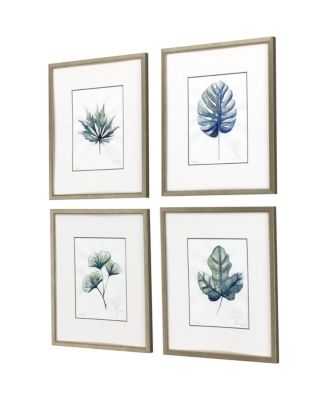 Plant Drawings Framed Art, Set of 4