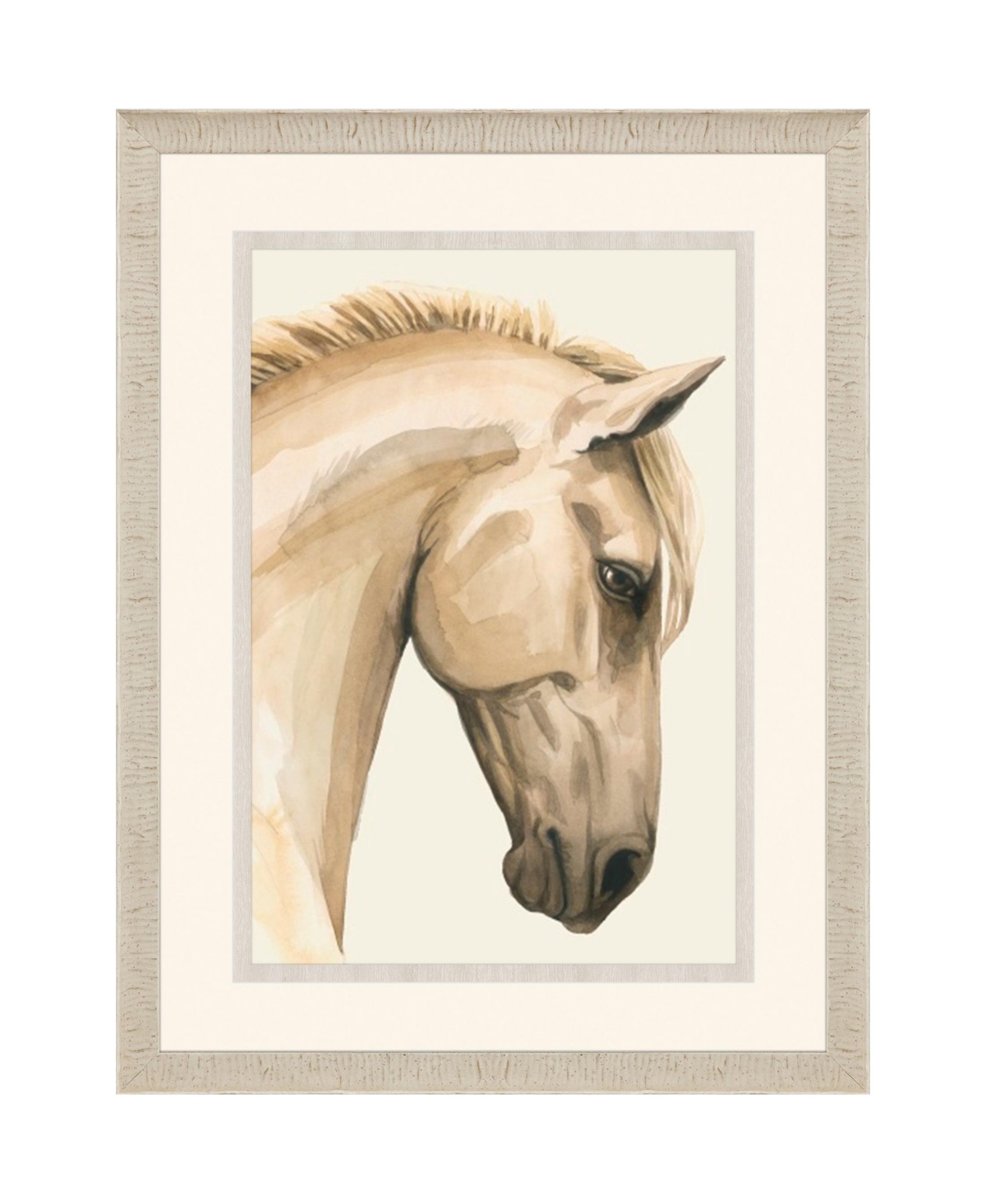 Paragon Picture Gallery Golden Palomino I Framed Art In Beige
