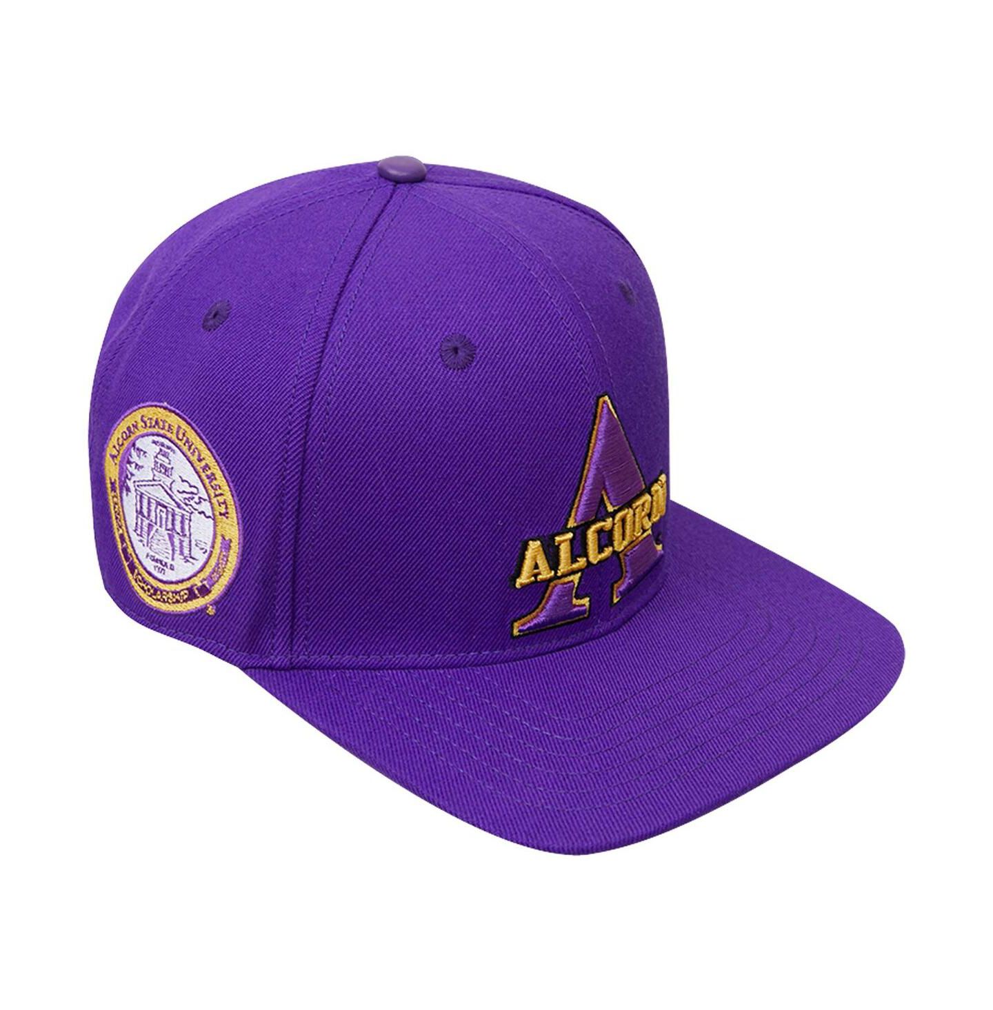 Мужская кепка Pro Standard Purple Alcorn State Braves Evergreen Primary Logo Snapback Hat — фото 1