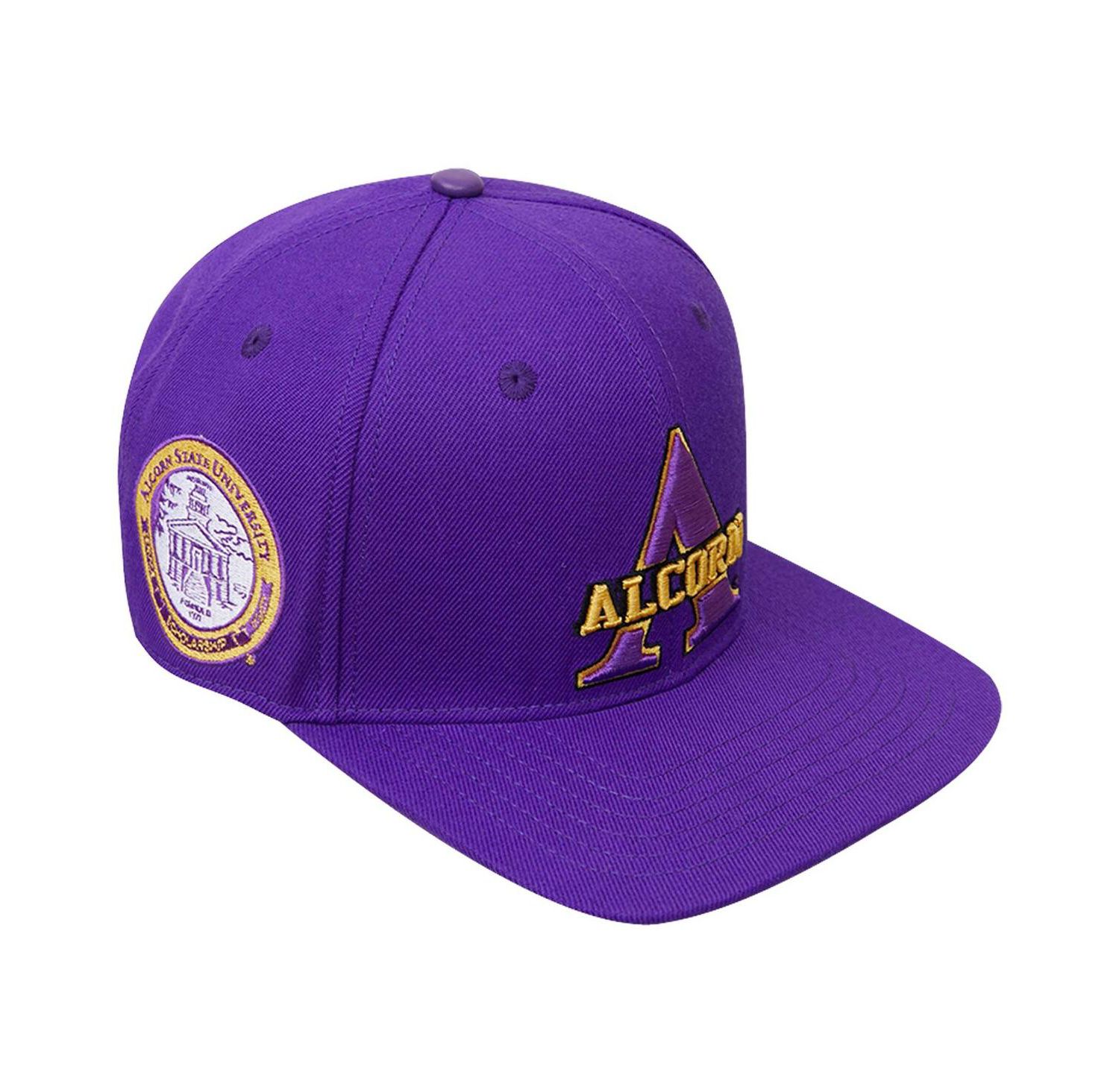 Men's Purple Alcorn State Braves Evergreen Primary Logo Snapback Hat