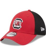 Louisville Redbirds Hat - All Red Pro Model and 50 similar items