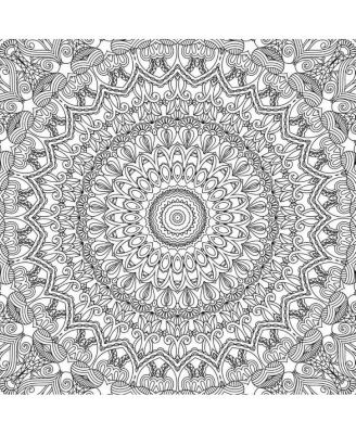 Mandala Meditation Coloring Book by Union Square & Co.