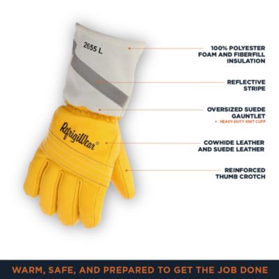 Men's Insulated Water-Resistant Leather Glove
