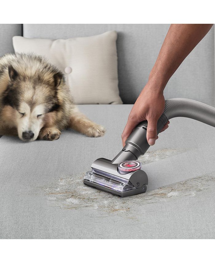 Dyson Ball Animal 3 Complete Upright Vacuum Macy's