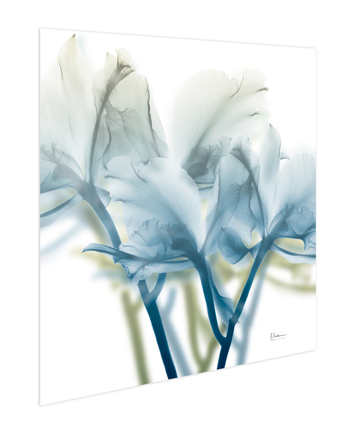 EMPIRE ART DIRECT "UNFOCUSED BEAUTY 3" FRAMELESS FREE FLOATING TEMPERED GLASS PANEL GRAPHIC WALL ART, 24" X 24" X 0.2" 