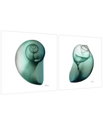 Shimmering Snail I Ii Frameless Free Floating Tempered Glass Panel Graphic Wall Art, 24" x 24" x 0.2" Each