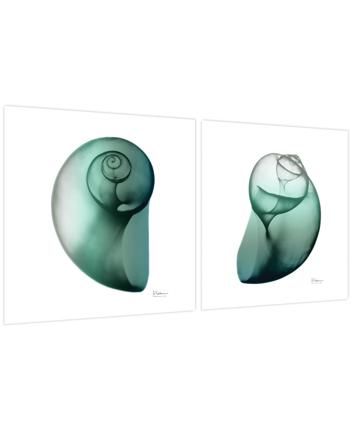 Empire Art Direct Shimmering Snail I Ii Frameless Free Floating Tempered Glass Panel Graphic Wall Art, 24" X 24" X 0.2 In Green