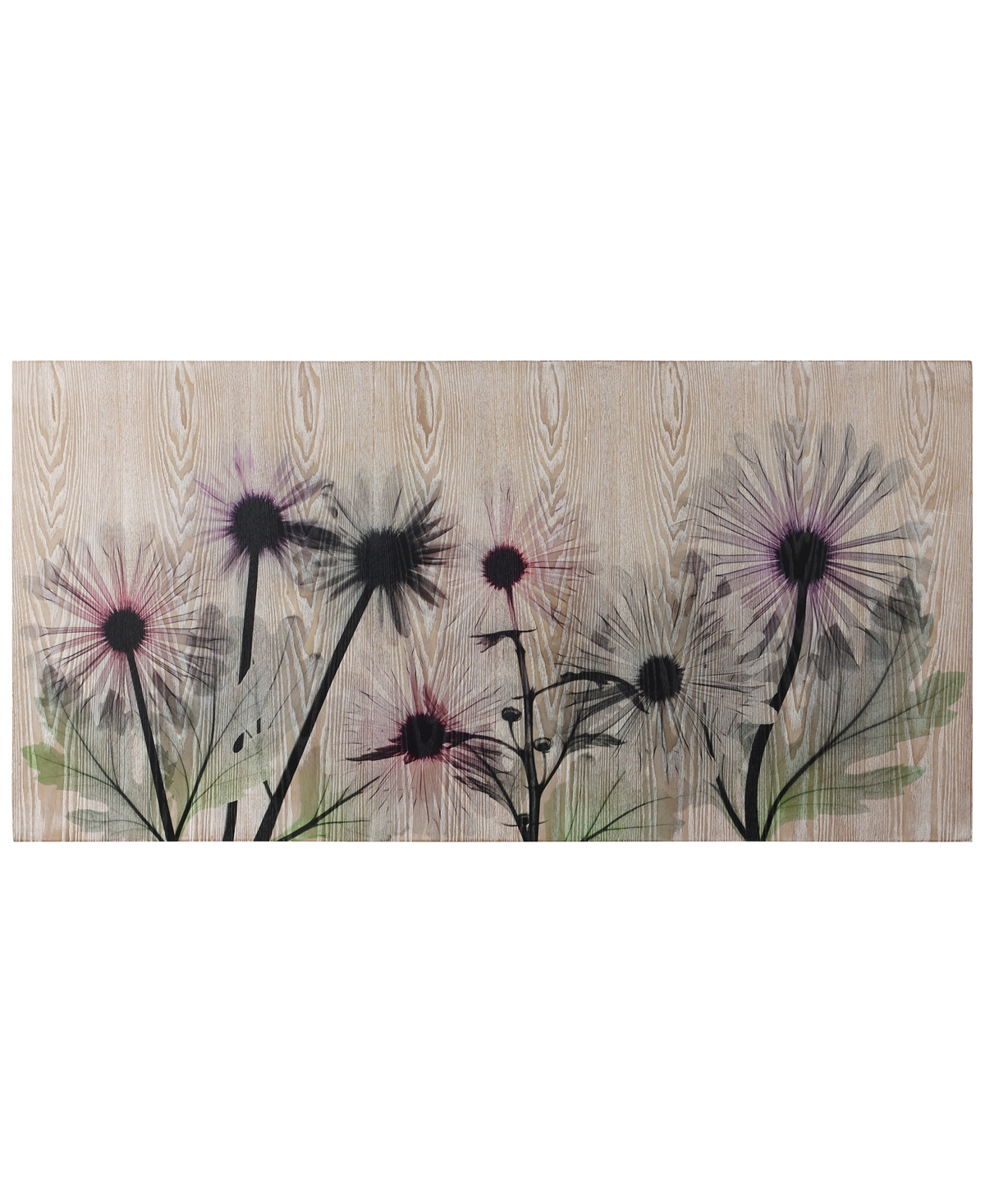Empire Art Direct "wild Flowers" Fine Radiographic Photography Hi Definition Giclee Printed Directly On Hand Finished In Pink,green