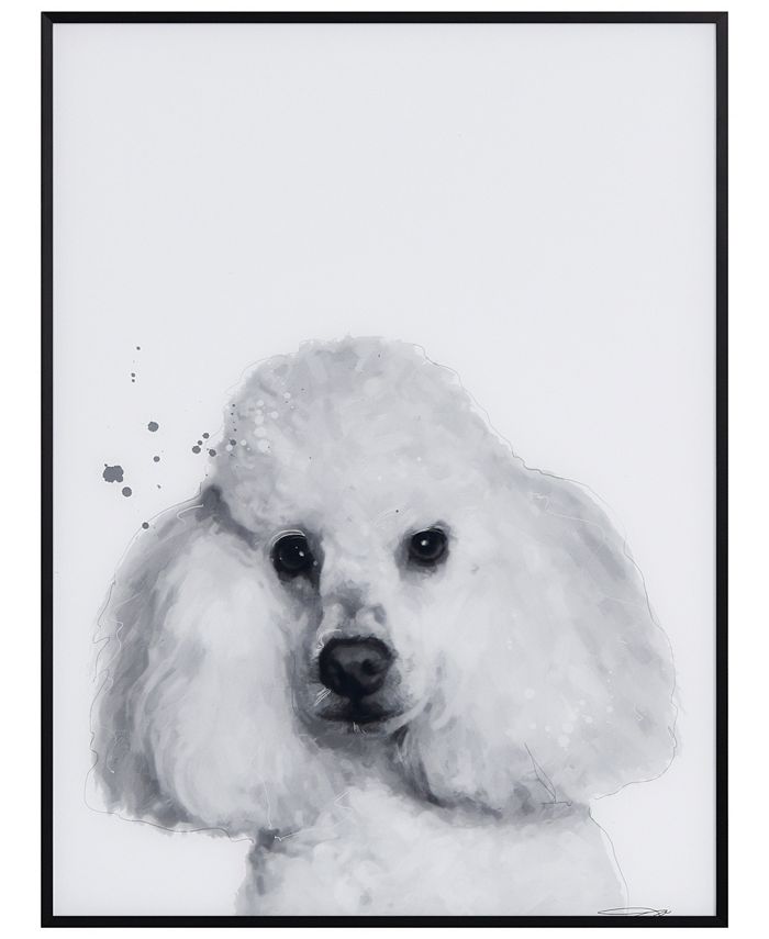 Empire Art Direct Poodle Pet Paintings on Printed Glass Encased with A  Black Anodized Frame, 24 x 18 x 1