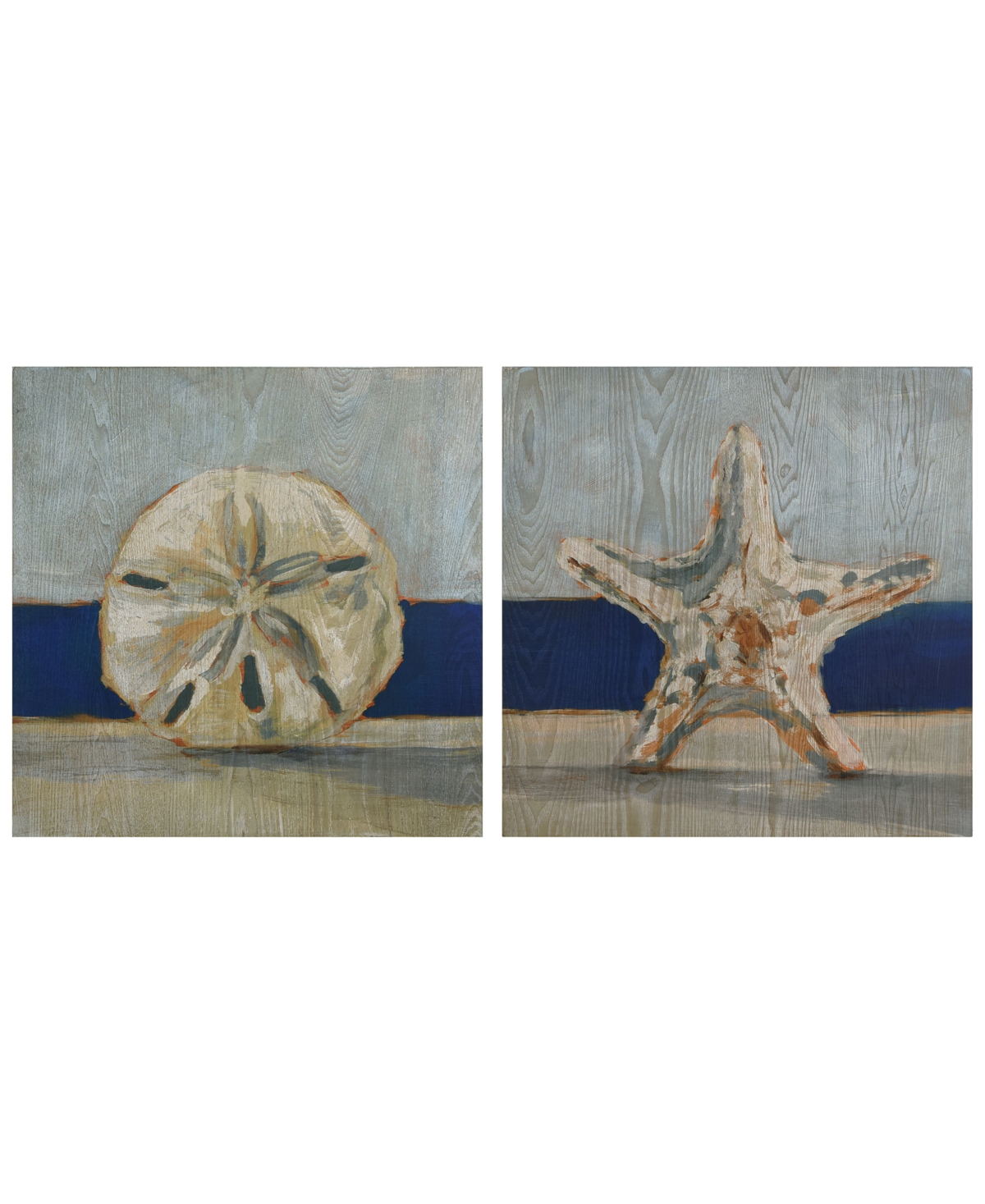 Empire Art Direct "conch Star Fish By The Sea" Fine Giclee Printed Directly On Hand Finished Ash Wood Wall Art Set Of In White,blue