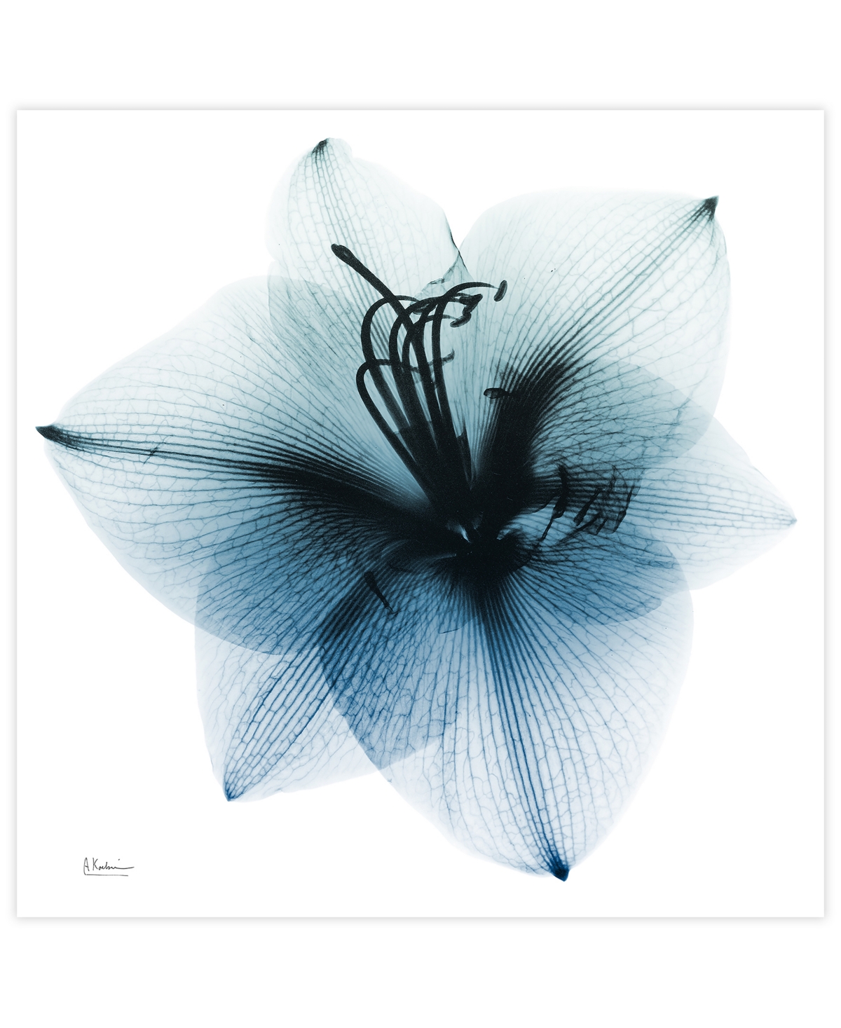 Empire Art Direct "glacial Amaryllis" Frameless Free Floating Tempered Glass Panel Graphic Wall Art, 38" X 38" X 0.2" In Blue