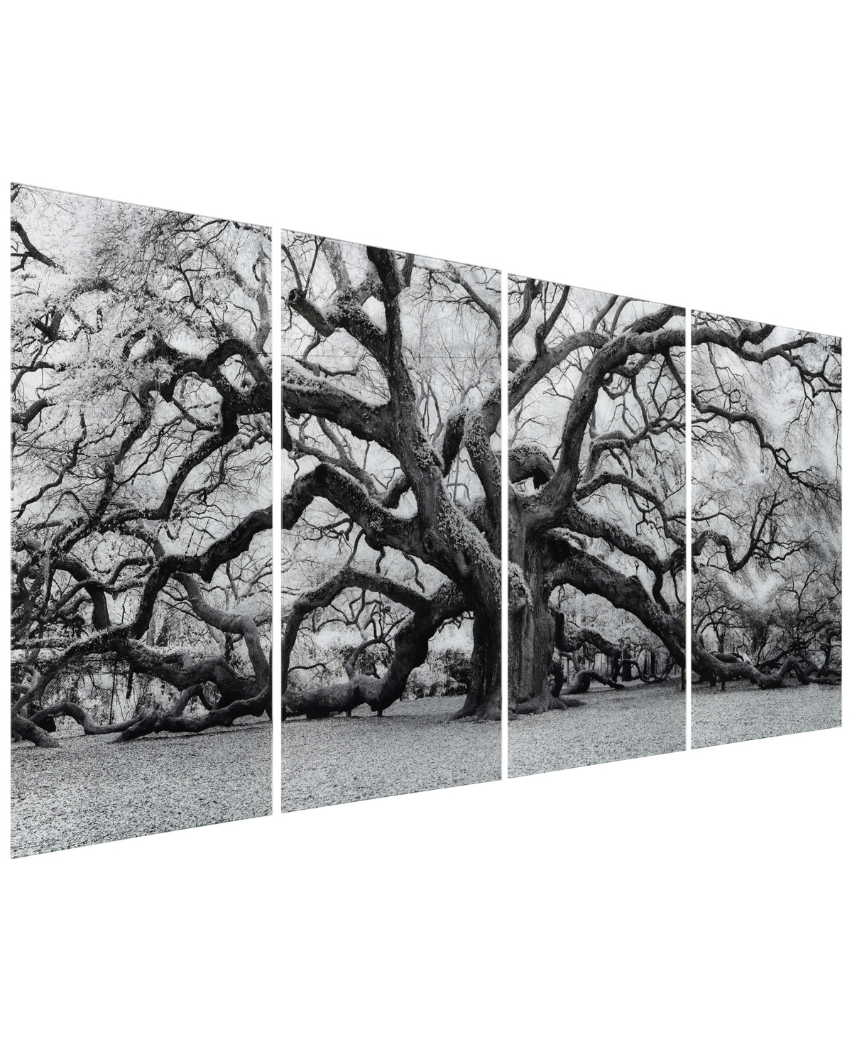 Shop Empire Art Direct "growth Abcd" Frameless Free Floating Tempered Glass Panel Graphic Wall Art Set Of 4, 72" X 36" X 0. In Gray