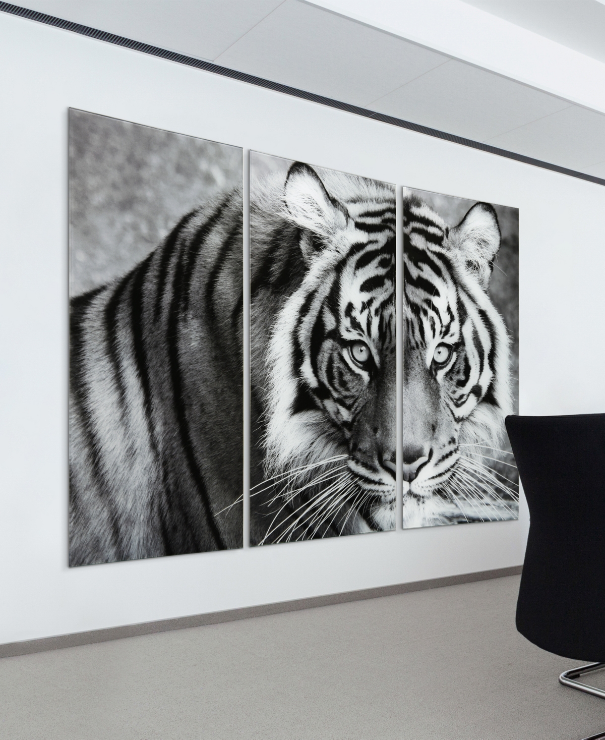 EMPIRE ART DIRECT "TIGER ABC" FRAMELESS FREE FLOATING TEMPERED GLASS PANEL GRAPHIC WALL ART SET OF 3, 72" X 36" X 0.2" 