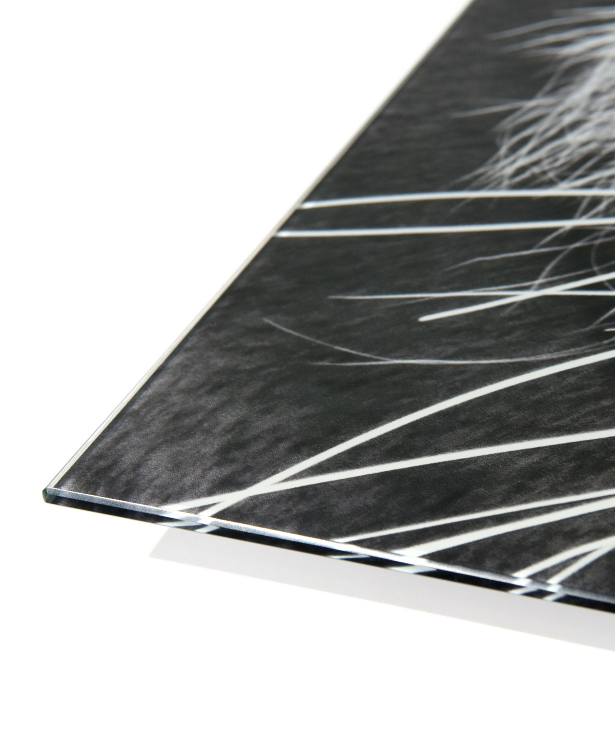 EMPIRE ART DIRECT "TIGER ABC" FRAMELESS FREE FLOATING TEMPERED GLASS PANEL GRAPHIC WALL ART SET OF 3, 72" X 36" X 0.2" 