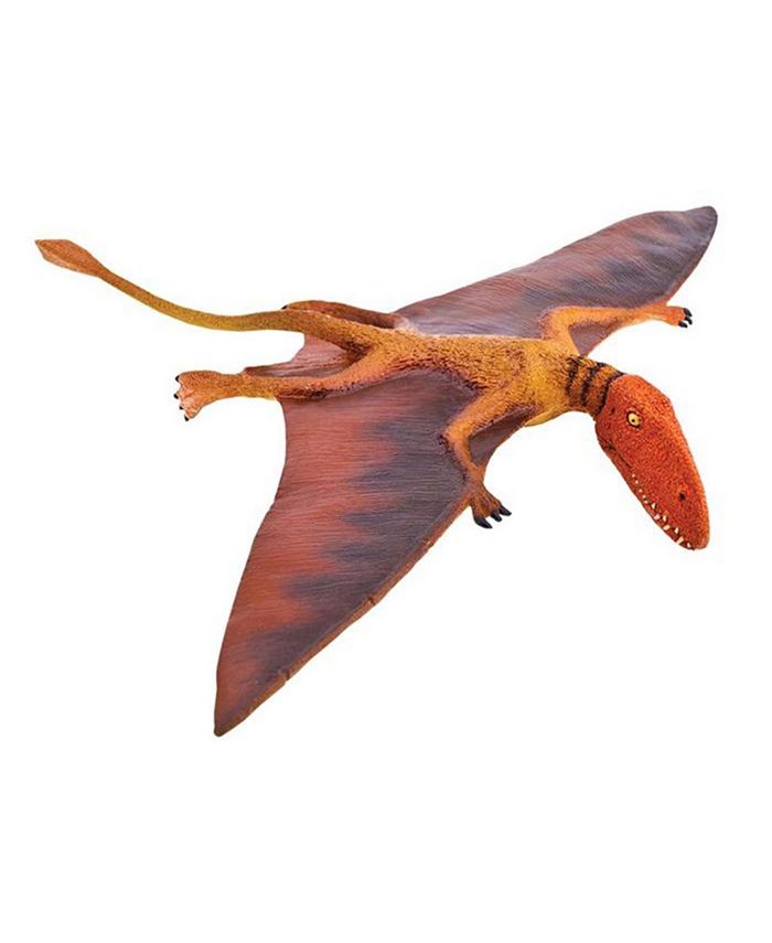 Safari Ltd Dimorphodon Wild Safari Dinosaur Figure - Macy's