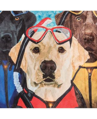 Snorkel Dog Light-Up LED Accent Throw Pillow, 18" x 18"