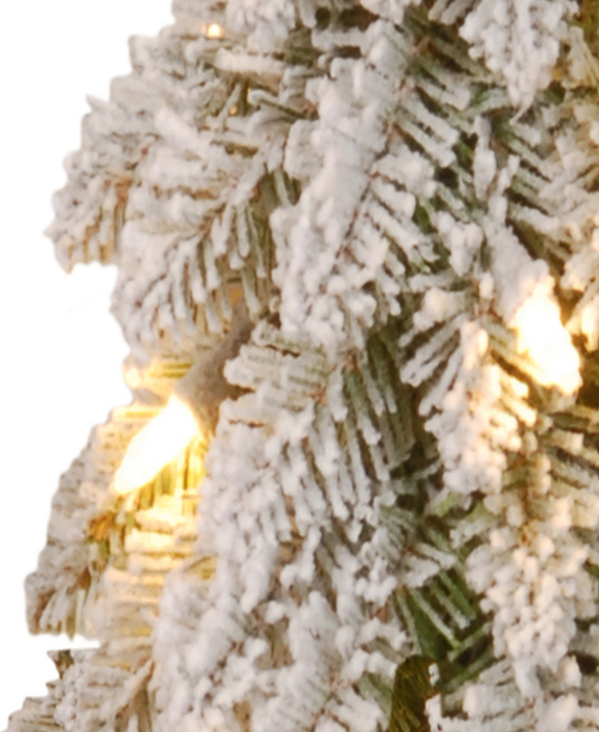National Tree 48