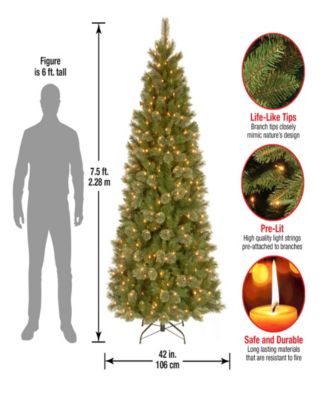 National Tree Company National Tree Tacoma Pine Slim With 500 Clear Lights