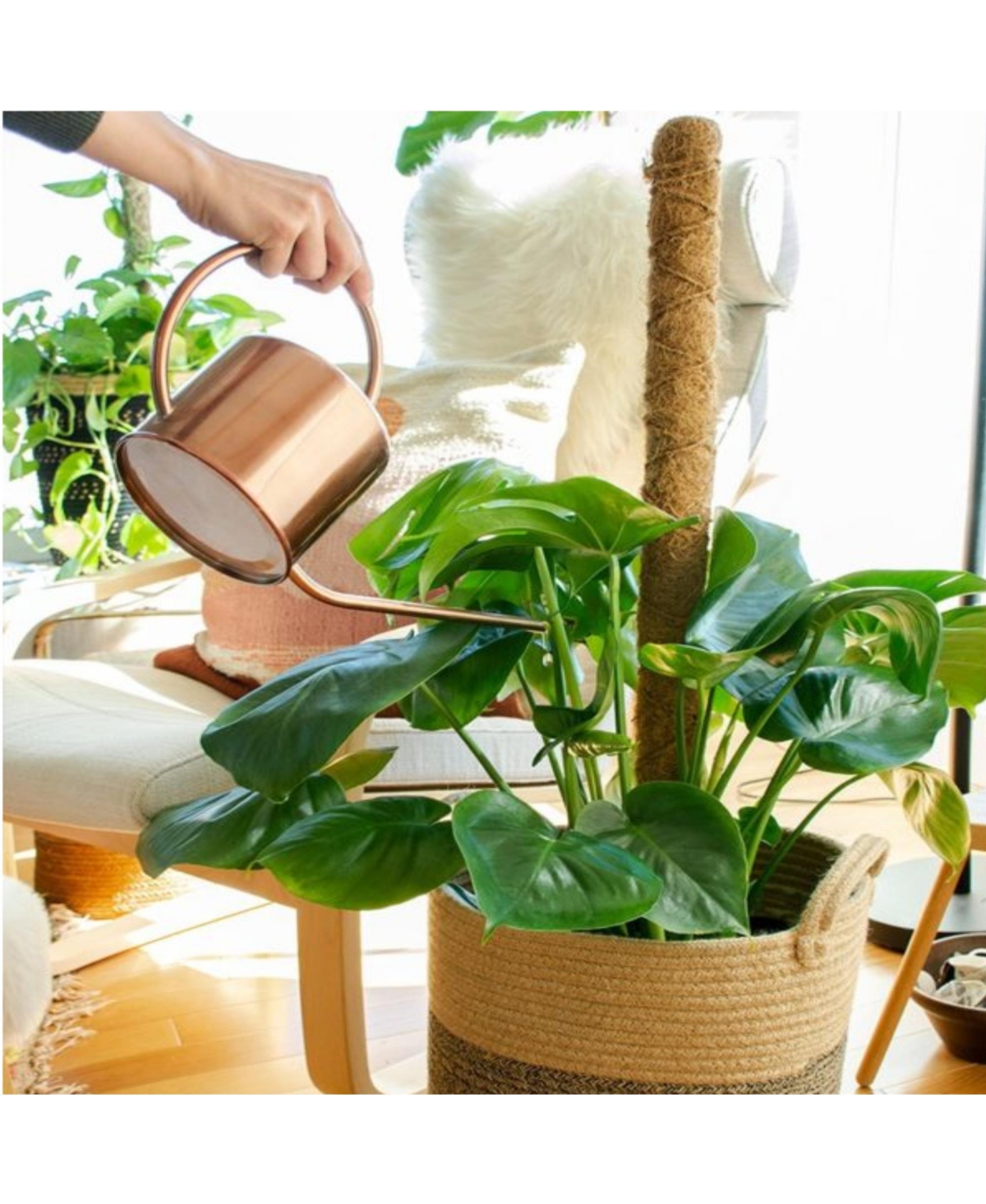 Super Moss SuperMoss Stackable Coco Pole for Indoor Gardening, Inches