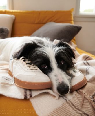 Women's GRANDPRØ Breakaway Lace-Up Low-Top Sneakers