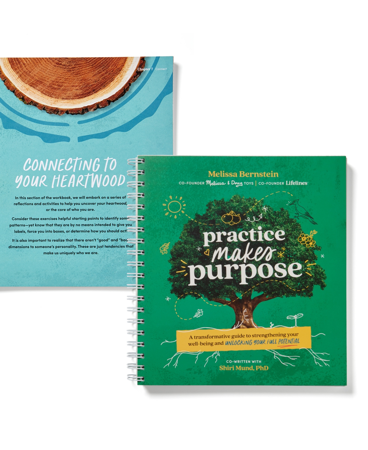 Lifelines Practice Makes Purpose Workbook In Green