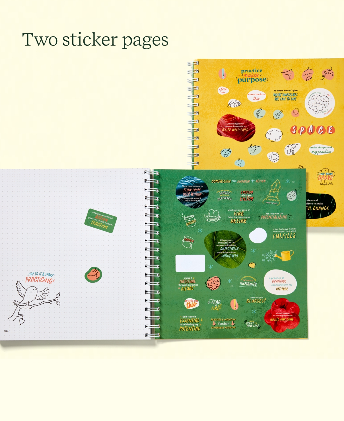 Lifelines Practice Makes Purpose Workbook In Green