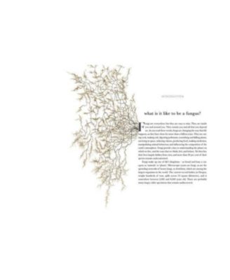 Entangled Life- The Illustrated Edition- How Fungi Make Our Worlds by Merlin Sheldrake