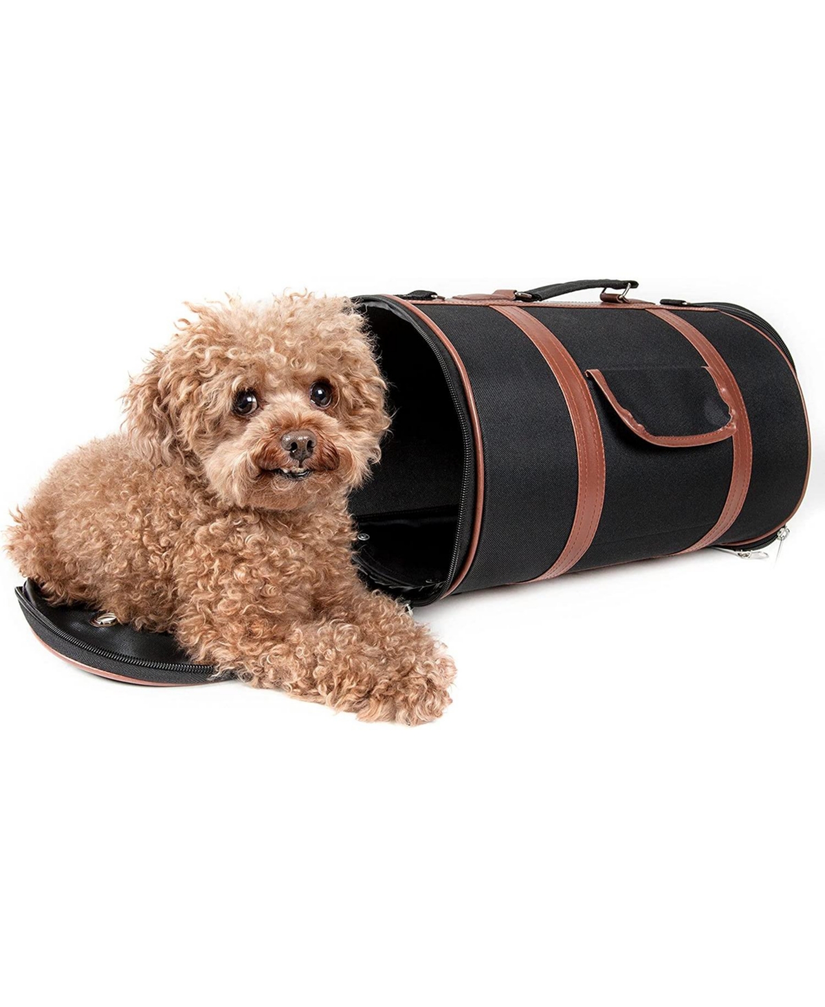 Airline Approved Fashion Cylinder Posh Pet Carrier Black - Black