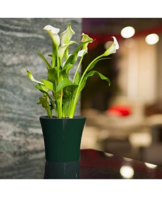 Plastic Round Modern Flower Pot with Drainage Planter, 8.5in