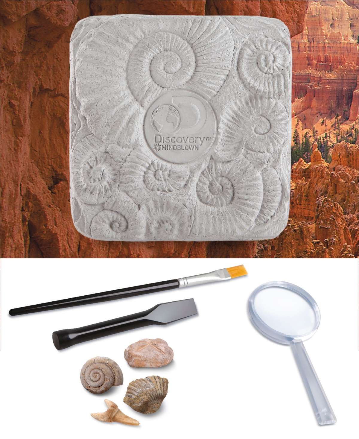Discovery #Mindblown ColossalFossil Dig Set, 15-Piece Archeology Excavation Kit