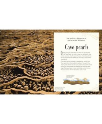 An Anthology of Our Extraordinary Earth by Cally Oldershaw