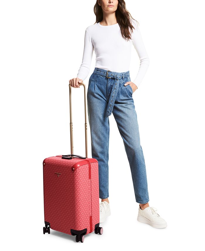 Small store trolley case