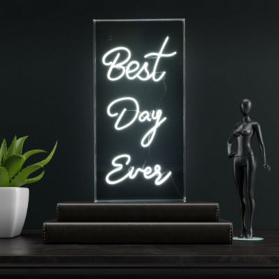 Best Day Ever USB LED Neon Light in Contemporary Glam Acrylic Box