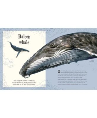 An Anthology of Intriguing Animals by DK