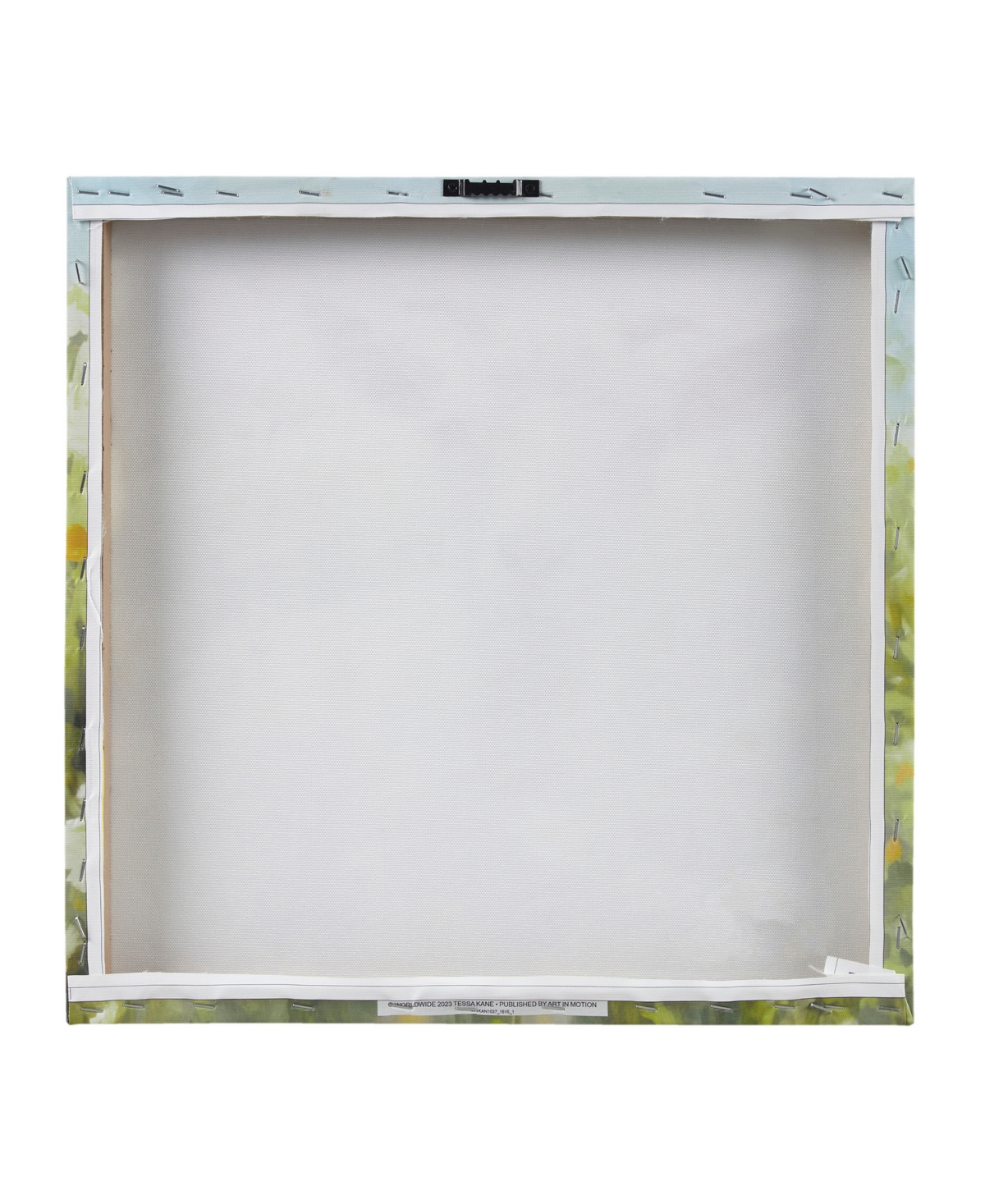Madison Park Sunshine Animals Goat Canvas Wall Art In Medium Gre